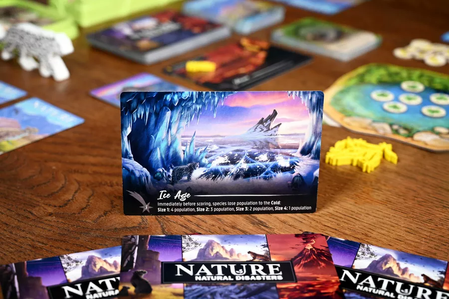 Nature - Image 6