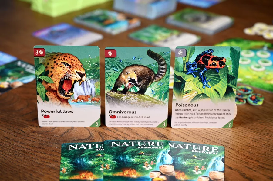 Nature - Image 7