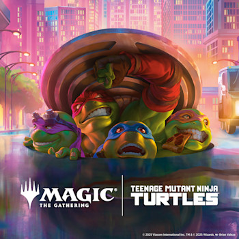 Teenage Mutant Ninja Turtle
